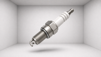 Spark Plugs