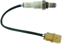 Oxygen Sensors