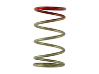 Wastegate Springs