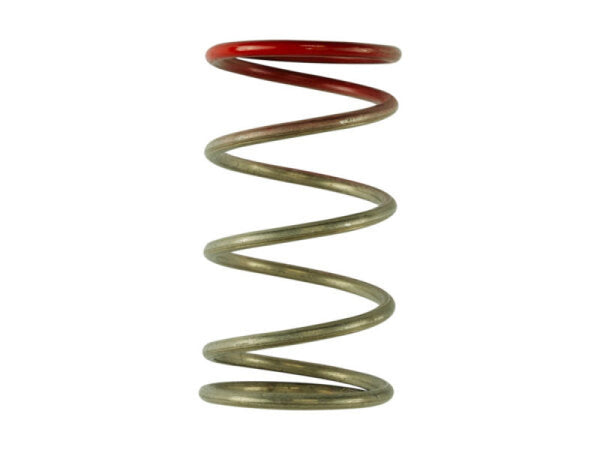 Wastegate Springs