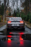 Photo - lifestyle view