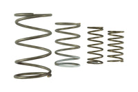 Wastegate Springs