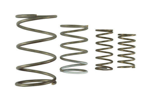 Wastegate Springs